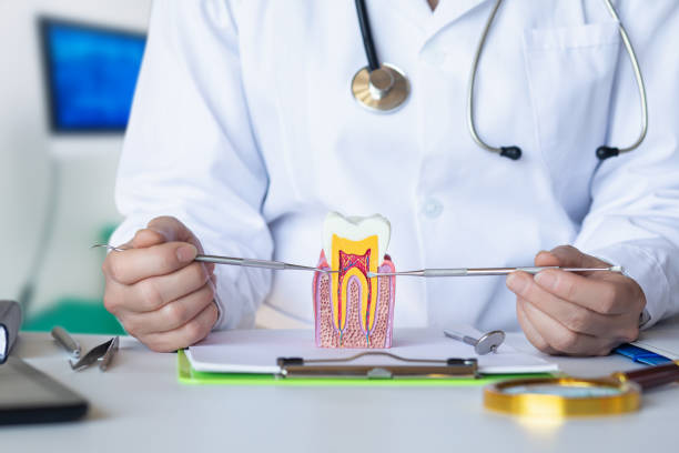 Best Emergency Wisdom Teeth Removal in Orleans, VT